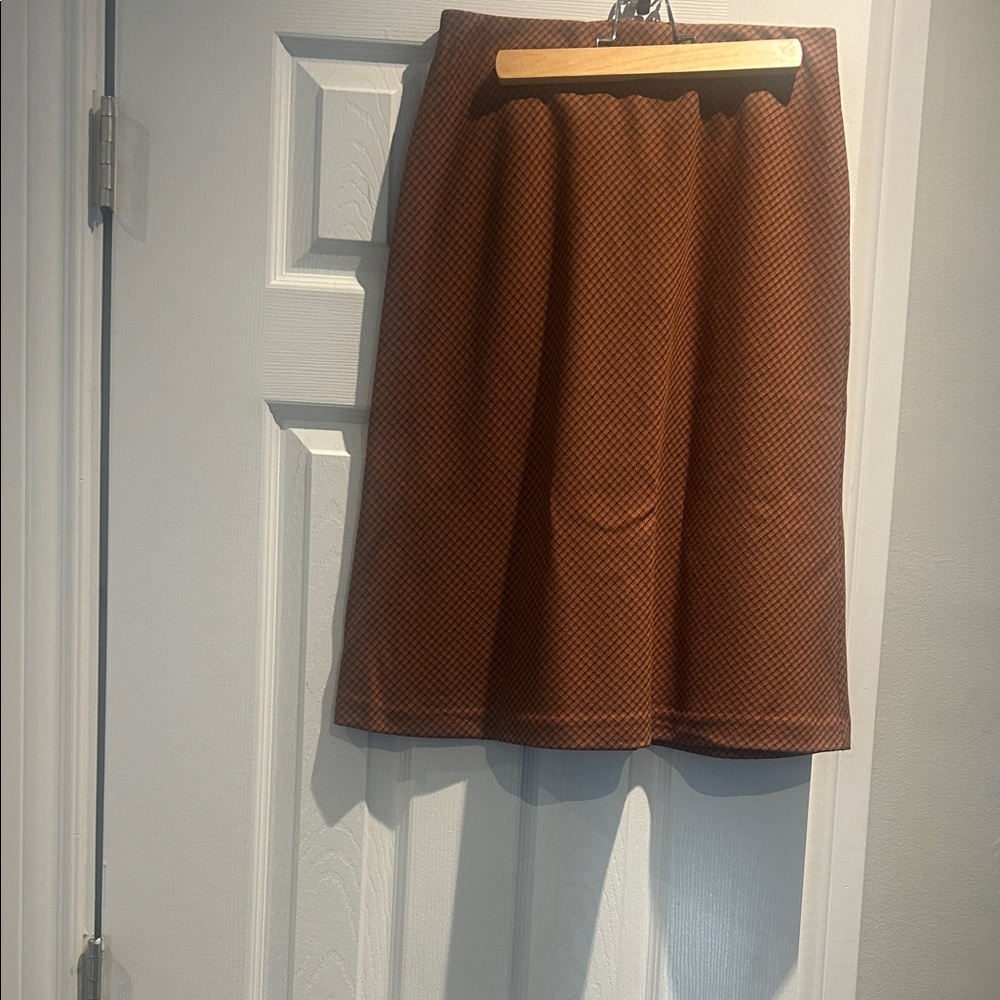 Elegant Brown Women's Skirt